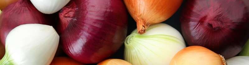 FRESH ONION